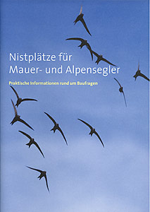 Titelbild Segler-Broschüre Artenförderung Schweiz